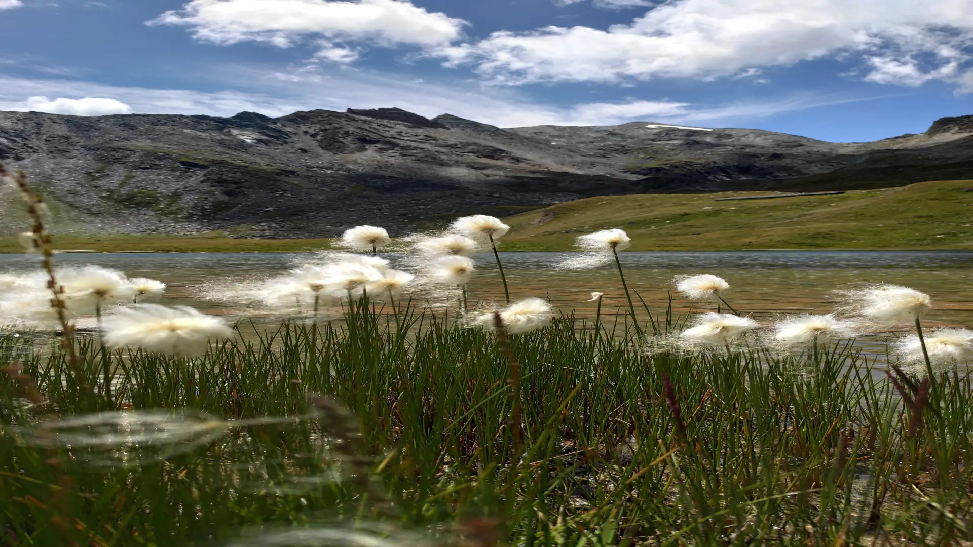 Lago alpino in Valsavarenche — paesaggio del Sentiero Italia CAI